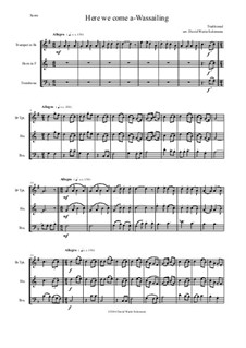 Here we Come a-Wassailing: For brass trio by folklore