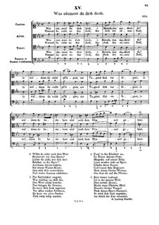 Was säumest du dich doch: Was säumest du dich doch by Johann Rudolf Ahle