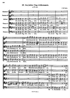 Sei, lieber Tag, willkommen: Sei, lieber Tag, willkommen by Johann Michael Bach