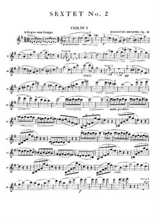 String Sextet No.2 in G Major, Op.36: Violin I part by Johannes Brahms