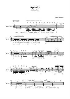 Apendix: Apendix by Hanan Hadzajlic