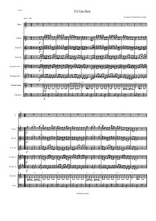 El Gavilan for Intermediate Mariachi: Full score, parts by folklore