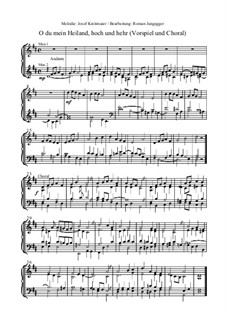 O du mein Heiland, hoch und hehr (Vorspiel und Choral): O du mein Heiland, hoch und hehr (Vorspiel und Choral) by Josef Kreitmaier