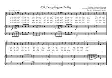 Der gefangene Zeisig: Der gefangene Zeisig by Ernst Richter