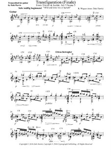 Fragments: Liebestod, for guitar by Richard Wagner