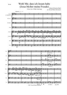 Jesus bleibet: For brass quartet and strings by Johann Sebastian Bach