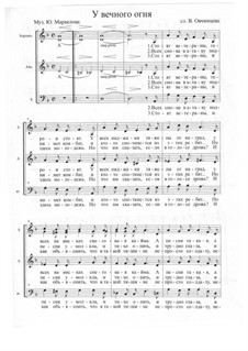 У Вечного огня: У Вечного огня by umarkelov