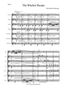 The Witches' Recipe: For flute choir with special effects by David W Solomons