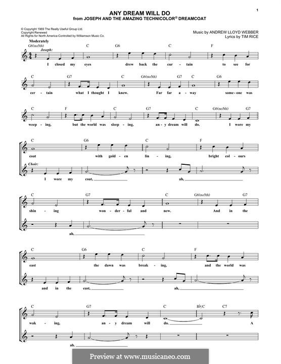 Any Dream Will Do (Joseph and The Amazing Technicolor Dreamcoat) by A.L