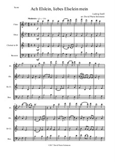 Ach Elslein, liebes Elselein mein: For wind quartet by Ludwig Senfl