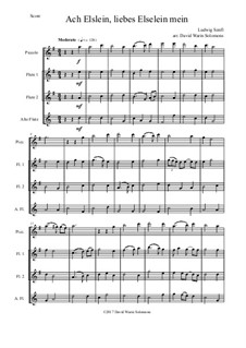 Ach Elslein, liebes Elselein mein: For flute quartet (piccolo, 2 C flutes, alto flute) by Ludwig Senfl