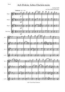 Ach Elslein, liebes Elselein mein: For flute quartet (3 C flutes, alto flute) by Ludwig Senfl
