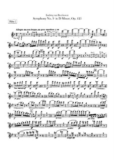 Complete Symphony: Flutes parts by Ludwig van Beethoven