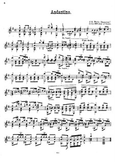 Andantino in G Major: Andantino in G Major by Johann Kaspar Mertz
