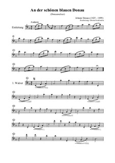 On the Beautiful Blue Danube, Op.314: For bass recorder by Johann Strauss (Sohn)
