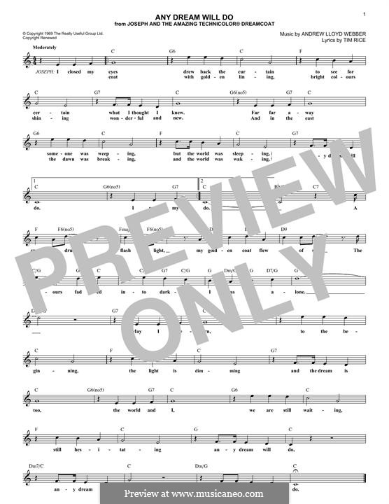 Any Dream Will Do (Joseph and The Amazing Technicolor Dreamcoat) by A.L