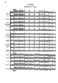Symphony No.1 in C Minor, WAB 101: Movement III by Anton Bruckner