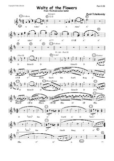 No.8 Waltz of the Flowers: For synthesizer by Pyotr Tchaikovsky