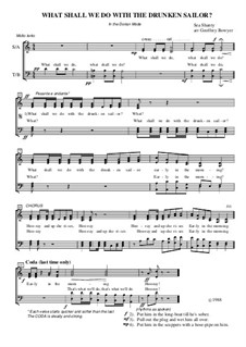 What Shall We Do with the Drunken Sailor: For mixed choir by folklore
