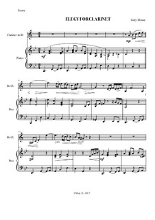 Elegy for Clarinet: Elegy for Clarinet by Gary Mosse