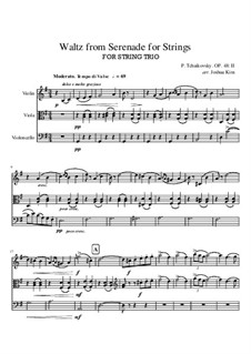 Serenade for String Orchestra, TH 48 Op.48: Waltz, for string trio by Pyotr Tchaikovsky