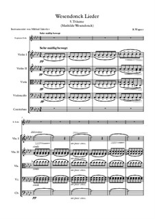 No.5 Dreams: For voice and string quintet by Richard Wagner