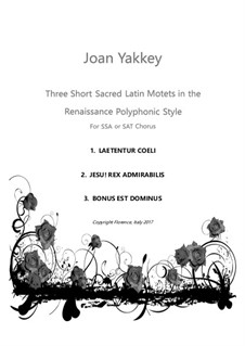 Three Short Sacred Latin Motets for 3 voices: Three Short Sacred Latin Motets for 3 voices by Joan Yakkey