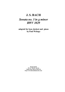 Sonata for Viola da Gamba and Harpsichord No.3 in G Minor, BWV 1029: Arrangement for bass clarinet and piano by Johann Sebastian Bach