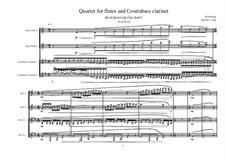 Quartet for multiple flutes and 2 Contrabass clarinets, MVWV 1166: Quartet for multiple flutes and 2 Contrabass clarinets by Maurice Verheul