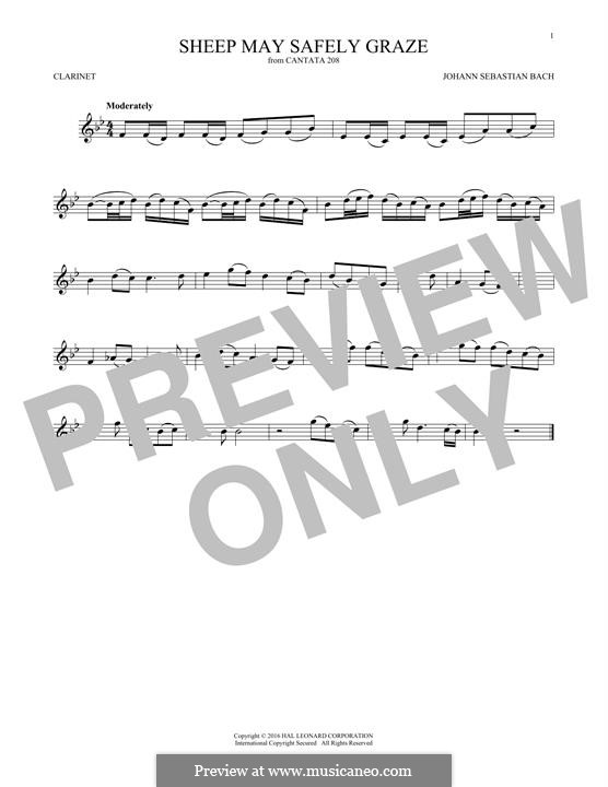 Sheep May Safely Graze (Printable Scores): For clarinet by Johann Sebastian Bach