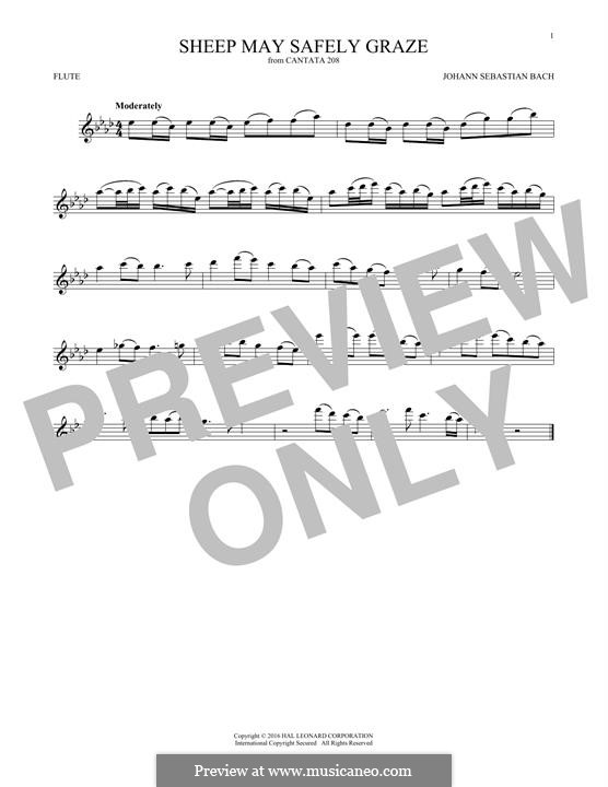 Sheep May Safely Graze (Printable Scores): For flute by Johann Sebastian Bach