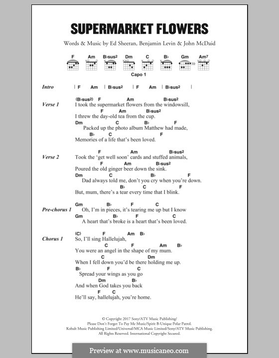 Supermarket Flowers: Lyrics and chords by Ed Sheeran, Benjamin Levin, John McDaid