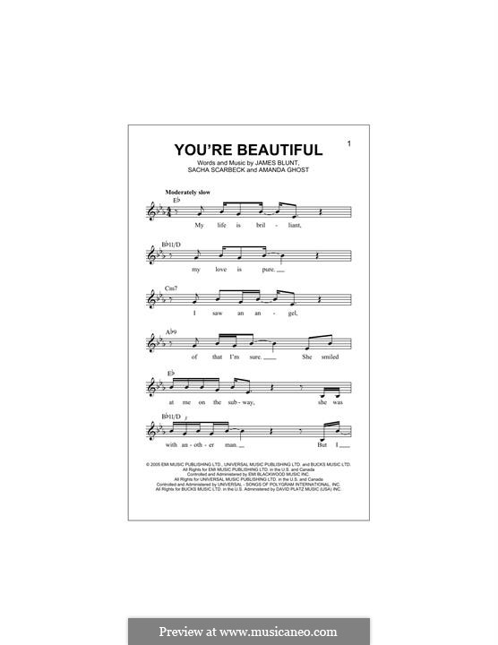 You're Beautiful: Melody line by Amanda Ghost, James Blunt, Sacha Skarbek