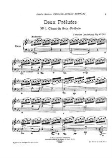 Two Preludes, Op.49: Complete set by Theodor Leschetizky