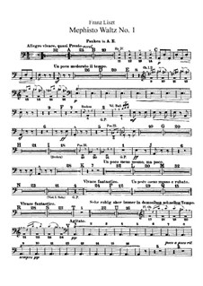 Two Episodes from Lenau's Faust, S.110: No.2 The Dance in the Village Inn – Percussion parts by Franz Liszt