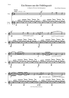 Ein Strauss aus der Frühlingszeit (A bunch of flowers from springtime): For flute and guitar by David W Solomons