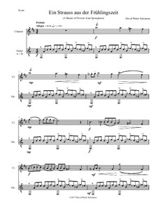 Ein Strauss aus der Frühlingszeit (A bunch of flowers from springtime): For clarinet and guitar by David W Solomons