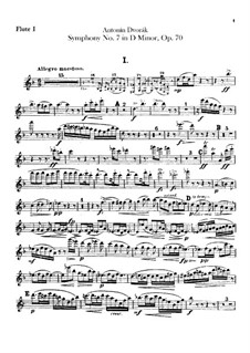 Symphony No.7 in D Minor, B.141 Op.70: Flutes parts by Antonín Dvořák