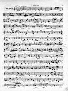 Trio for Flute, Violin and Сello No.2, Op.39: Violin part by Raphael Dressler
