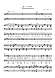 Два півники: Для хора и фортепиано, Op.1 No.2 by folklore