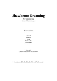 Shawkemo Dreaming (2009) for string orchestra, Op.811: Score only by Carson Cooman