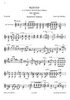 Sonata for Piano No.18 in G Major, D.894 Op.78: Movement III. Minuet, for guitar by Franz Schubert