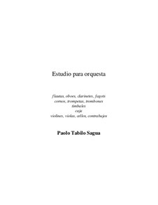 Estudio para Orquesta: Estudio para Orquesta by Paolo Tabilo Sagua