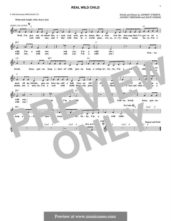 he a wild one a real wild child lyrics he a wild one a real wild child lyrics