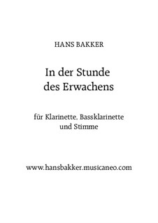 In der Stunde des Erwachens: Für Klarinette, Bassklarinette und Stimme by Hans Bakker