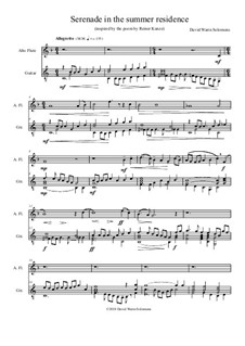 Serenade in the summer residence (Serenata nella residenza estiva): For alto flute and guitar by David W Solomons