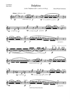 Delphine: For contrabass flute solo by David W Solomons