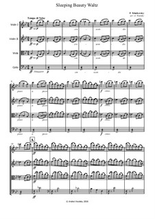 Waltz: For string quartet by Pyotr Tchaikovsky
