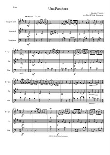 Una panthera in compagnia de Marte (A Panther in company of Mars): For brass trio by Johannes Ciconia