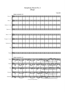 Symphonic Sketch No.2 (Elegy): Symphonic Sketch No.2 (Elegy) by Jordan Grigg